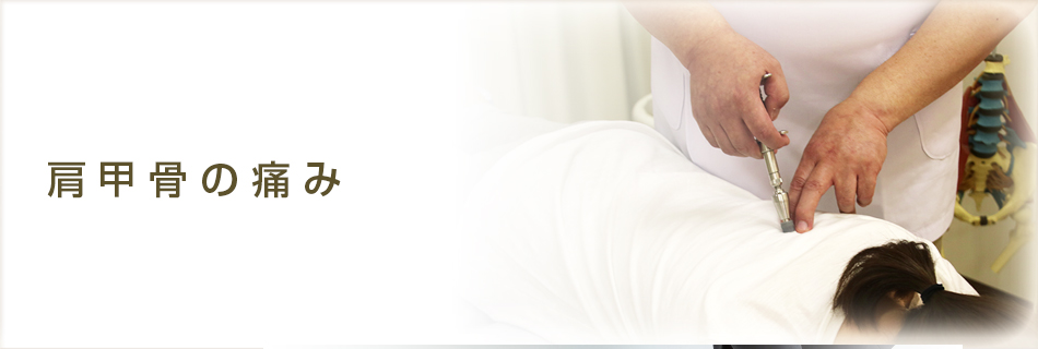 肩甲骨のこり 港区 浜松町 おいかわソフトカイロプラクティック院 肩こり